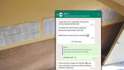 ¿Cómo consultar por WhatsApp la escuela en la que me toca votar?