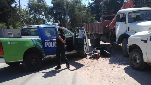 robo, disparos y persecucion en la plata: cayeron tras robar una forrajeria y tirotearse con la policia