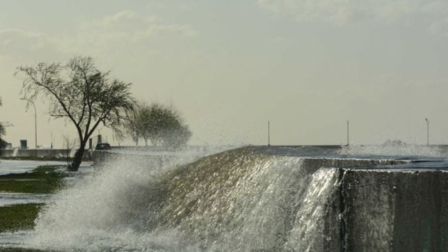 alerta por una nueva crecida del rio de la plata: ¿a cuanto podria llegar el agua?