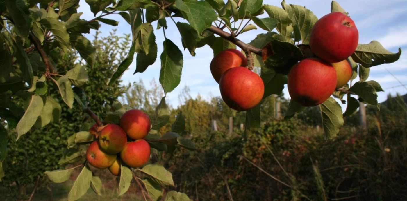 1573992815067.jpg?scaleX=1&oh=1000&x=7&y=150&width=1487&height=743&rotate=0&scaleY=1&ow=1500&&cw=1920&ch=950