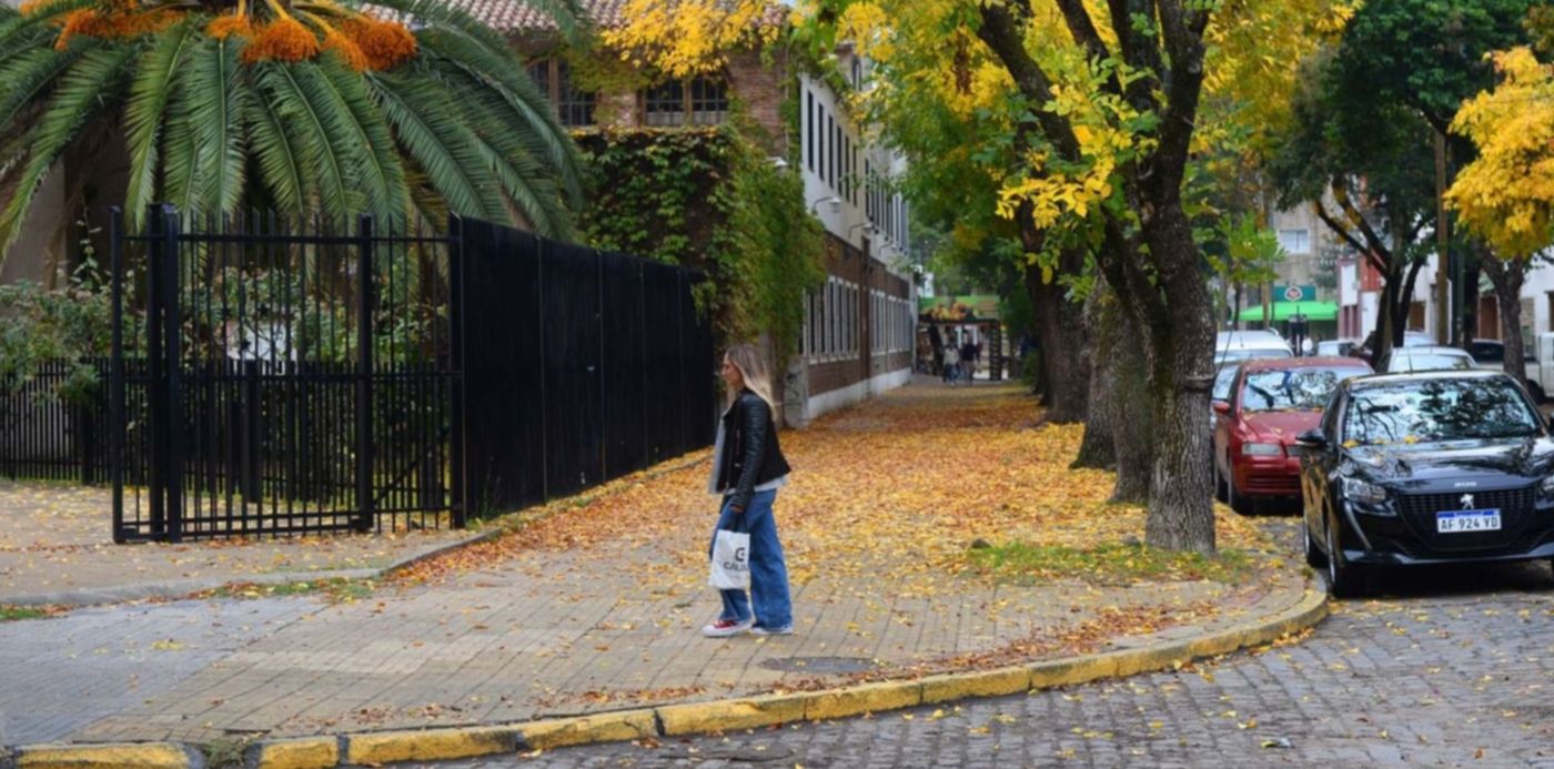 Clima Otoño Nublado Hojas