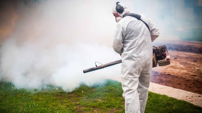 siguen fumigando contra los mosquitos y piden evitar plazas, parques y ramblas de la plata