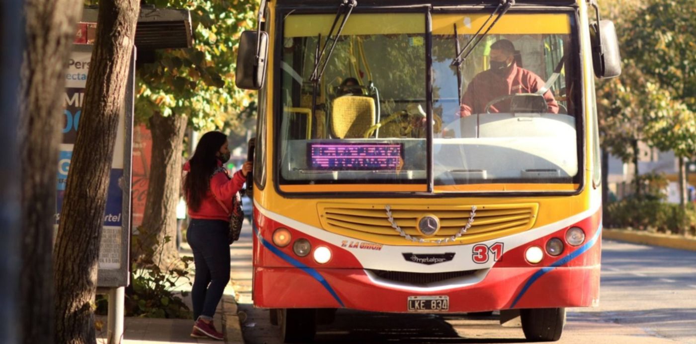Micros Colectivos