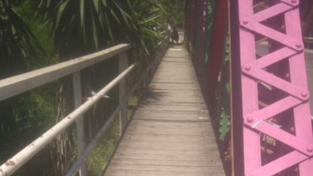 cerraron un puente peatonal de la plata por miedo a que se caiga alguien