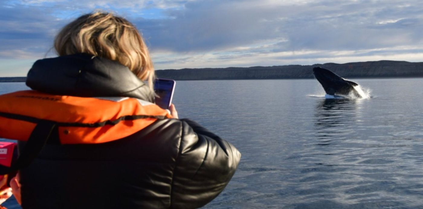 1626907148243.jpg?x=17&y=135&width=1460&height=730&rotate=0&scaleX=1&scaleY=1&ow=1500&oh=1000&&cw=1920&ch=950