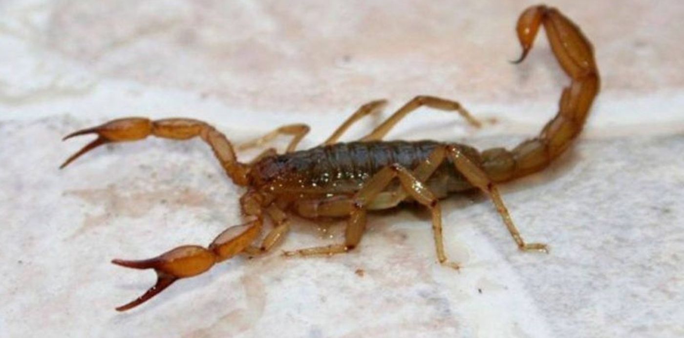 1582915631900.jpg?x=5&width=790&height=395&rotate=0&scaleX=1&scaleY=1&ow=800&y=4&oh=450&&cw=1920&ch=950