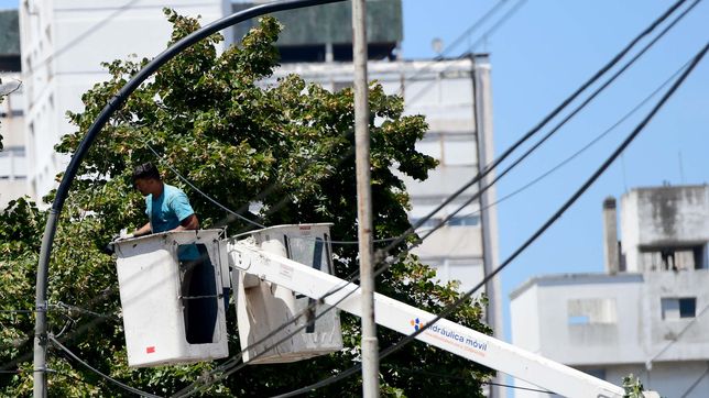 refuerzan el sistema de alumbrado publico en distintas localidades de la plata