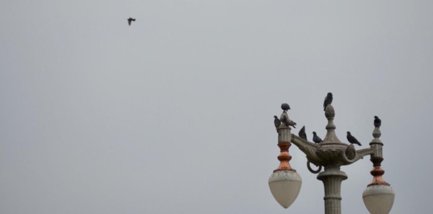 1598369674812.jpeg?x=6&y=180&width=1259&height=630&rotate=0&scaleX=1&scaleY=1&ow=1280&oh=850&&cw=1920&ch=950