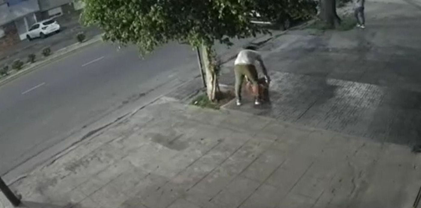 robo planta - avenida 44