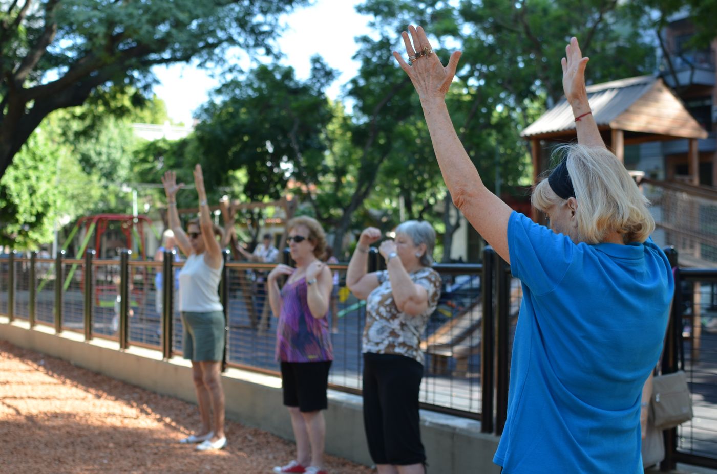 Talleres adultos mayores (1).jpg