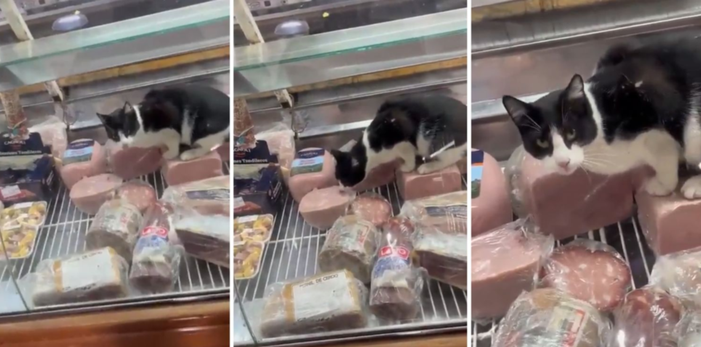 1684250732743.jpg?x=8&y=0&width=1484&height=742&rotate=0&scaleX=1&scaleY=1&ow=1500&oh=742&&cw=1920&ch=950