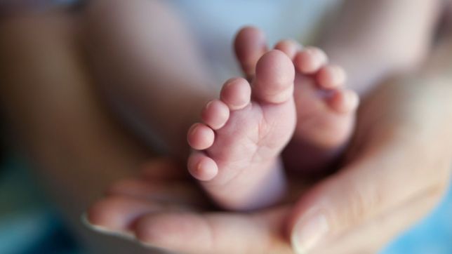 acuerdan nuevo regimen de licencias parentales para docentes bonaerenses