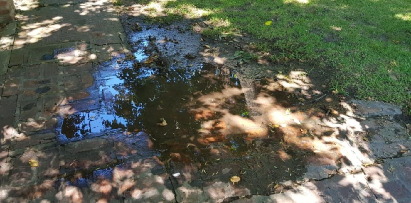 1550421376907.jpeg?rotate=0&scaleY=1&oh=960&x=13&y=106&width=1251&height=626&scaleX=1&ow=1280&&cw=1920&ch=950