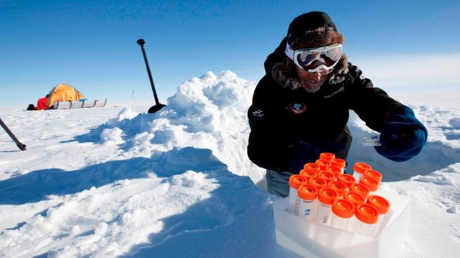 cientificos de la unlp trajeron microorganismos de la antartida y ahora pretenden usarlos para limpiar arroyos