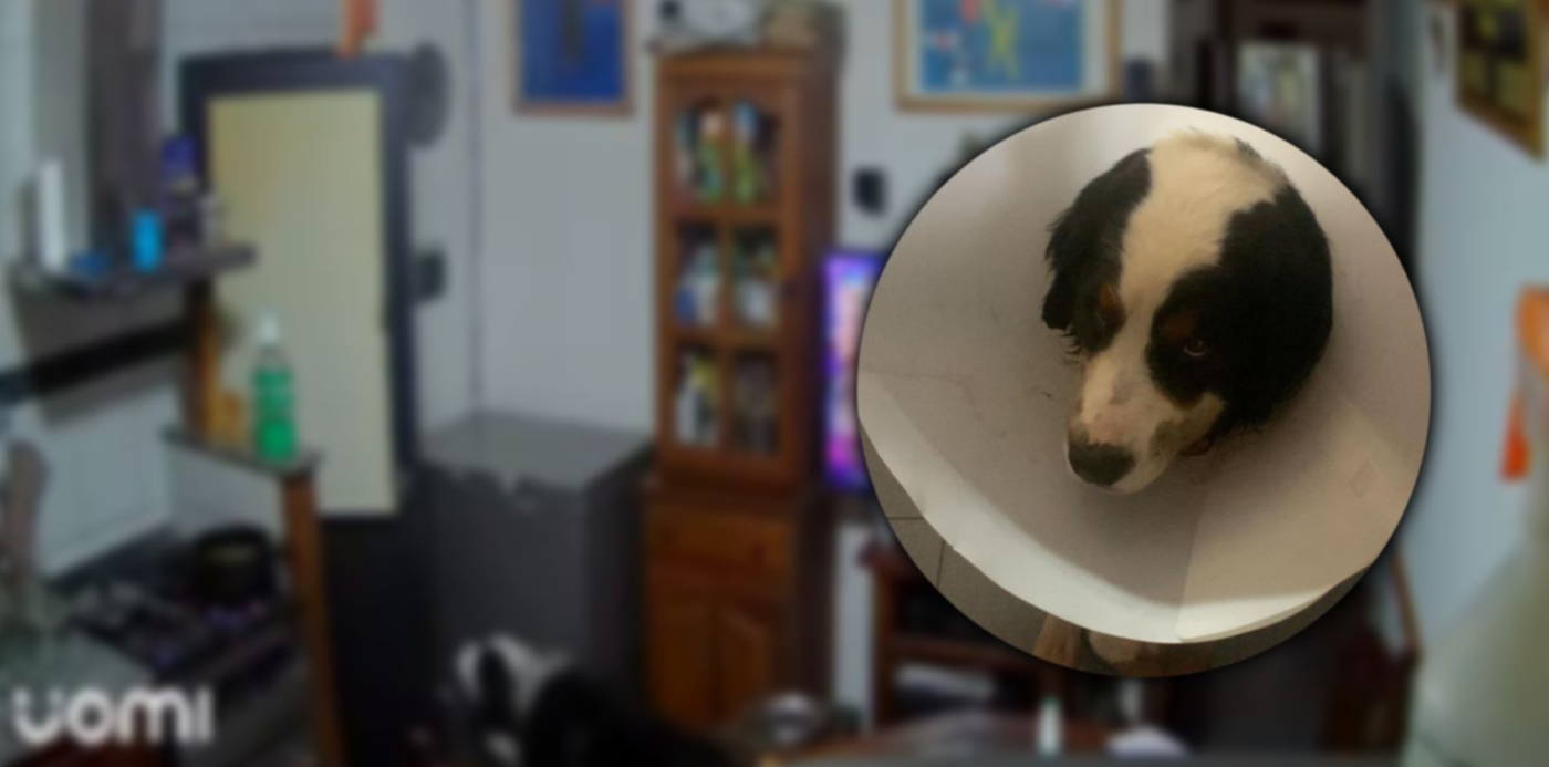 1694031980603.jpg?x=8&y=0&width=1484&height=742&rotate=0&scaleX=1&scaleY=1&ow=1500&oh=742&&cw=1920&ch=950