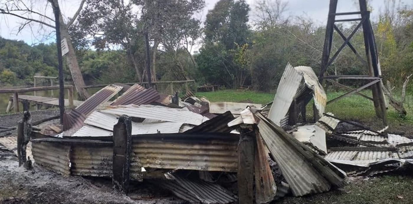 1558352859379.jpg?width=952&rotate=0&ow=960&oh=540&x=4&y=47&height=476&scaleX=1&scaleY=1&&cw=1920&ch=950