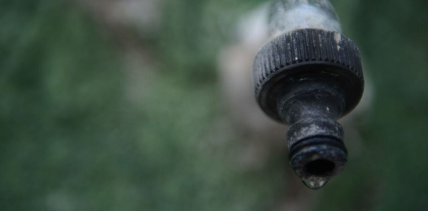 1580776083484.jpg?x=14&y=228&width=1465&height=733&rotate=0&scaleX=1&scaleY=1&ow=1500&oh=996&&cw=1920&ch=950