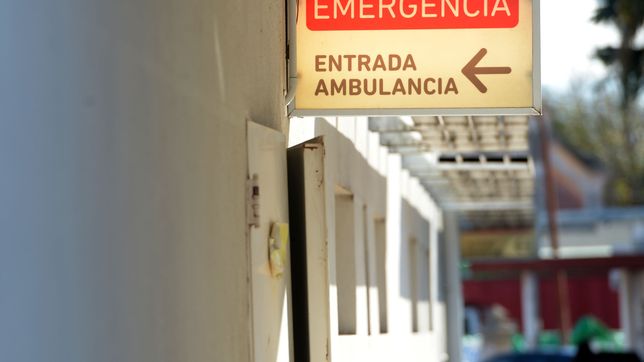 una nena de 7 anos murio tras ser atropellada por un camion en olmos