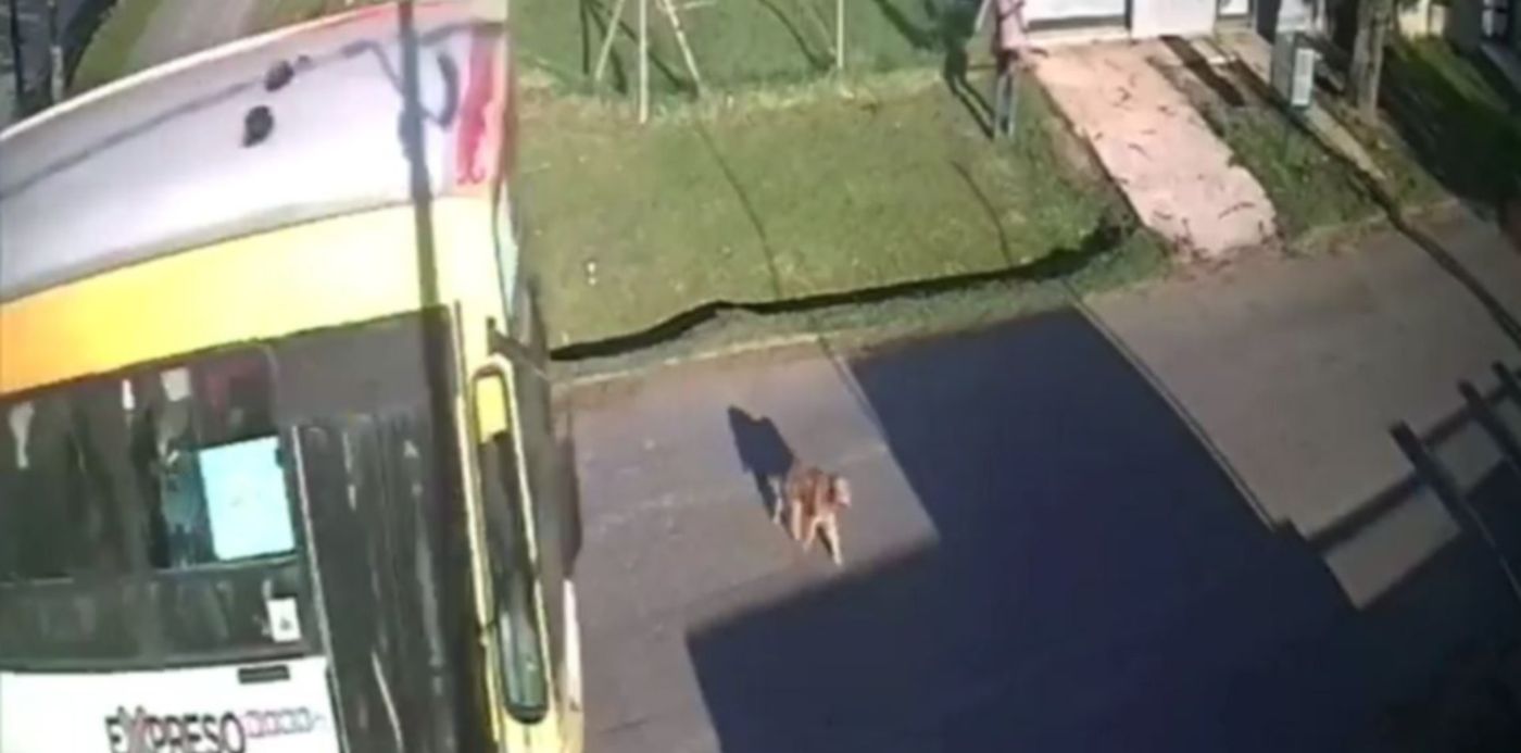 1651359773021.jpg?x=0&y=56&width=1142&height=571&rotate=0&scaleX=1&scaleY=1&ow=1142&oh=626&&cw=1920&ch=950