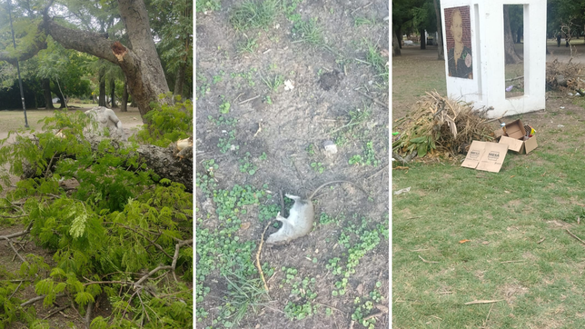 vecinos reclaman por el abandono del parque saavedra y apuntan contra la falta de mantenimiento