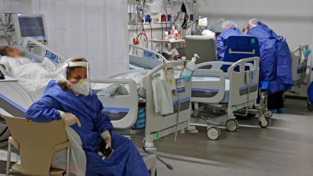 todos los sintomas de perro del infierno y pesadilla, las nuevas variantes del covid