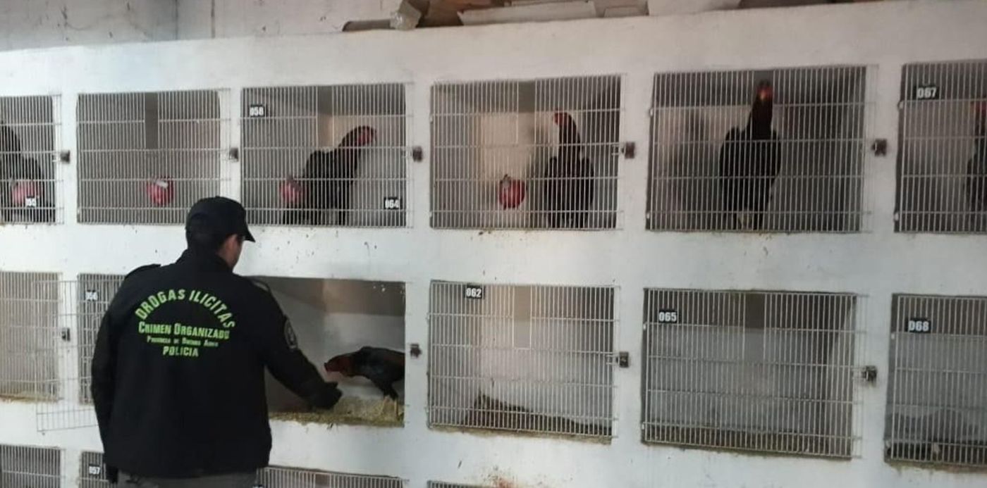 1567378250890.jpeg?oh=581&x=10&width=1017&height=509&rotate=0&scaleX=1&y=7&scaleY=1&ow=1032&&cw=1920&ch=950