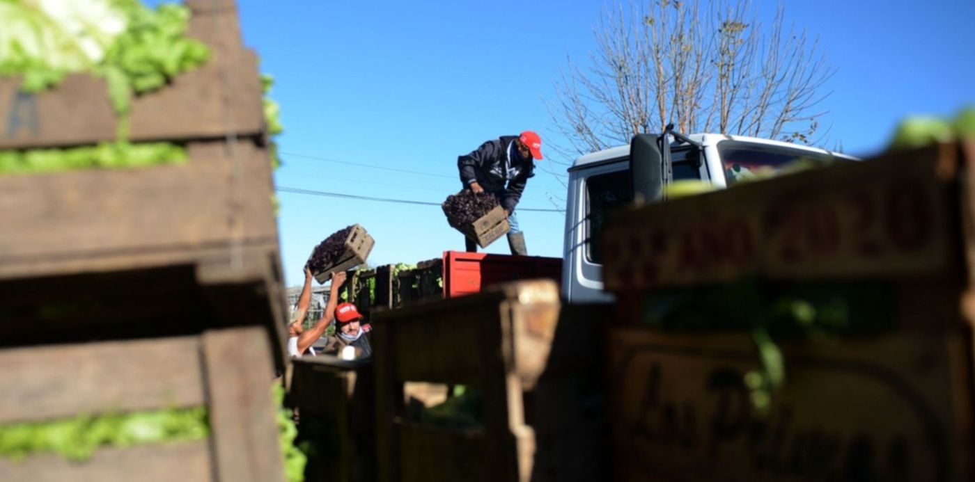 1588263931648.jpg?x=8&y=79&width=1484&height=742&rotate=0&scaleX=1&scaleY=1&ow=1500&oh=1015&&cw=1920&ch=950