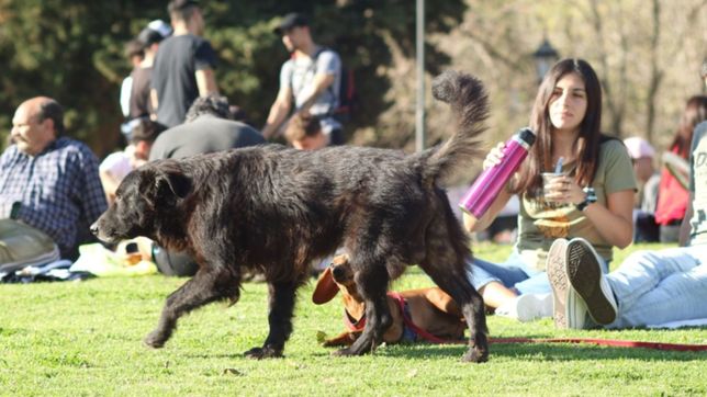 miercoles soleado, algo fresco a la manana y primaveral a la tarde en la plata