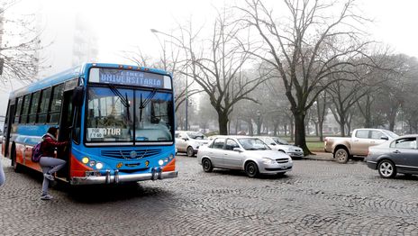 La Línea Universitaria de micros suma 20 nuevos servicios y mejora la frecuencia