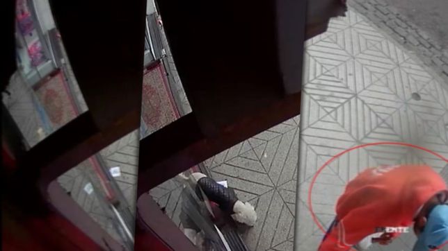 video: se robaron al caniche de una familia platense que lo busca desesperadamente