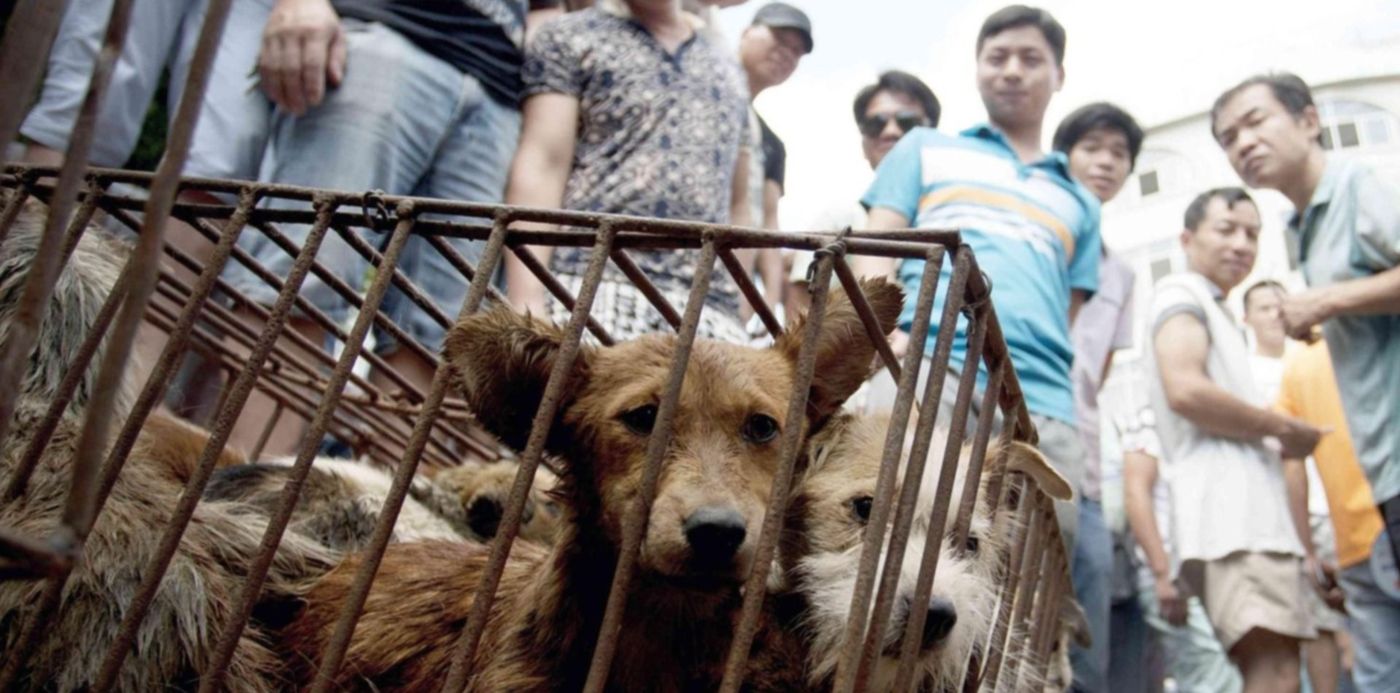 1592920954715.jpg?x=6&y=44&width=1482&height=741&ow=1500&rotate=0&scaleX=1&scaleY=1&oh=1031&&cw=1920&ch=950