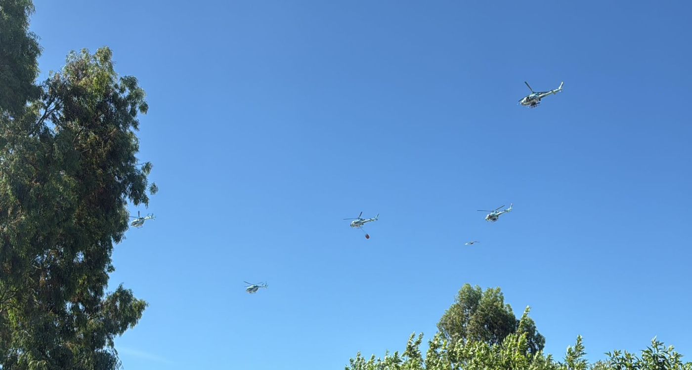 WhatsApp Image 2025-12-15 at 17.25.29