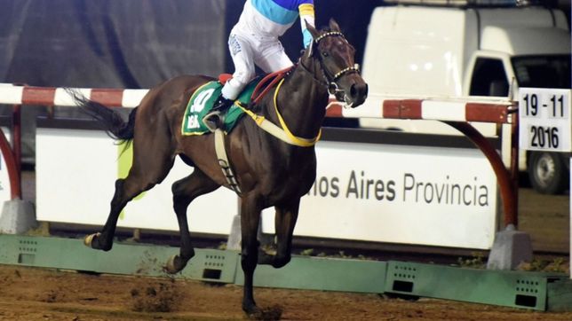 un cuidador de caballos del hipodromo de la plata fue sancionado por dopar a un animal