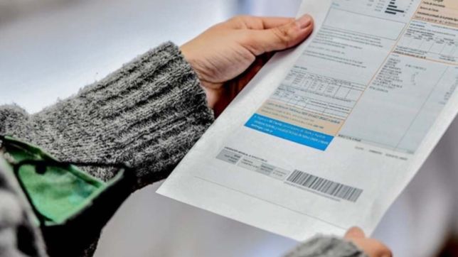 ¿que pasa si hay errores en el formulario para acceder a los subsidios de luz y gas?