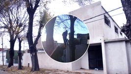 fueron a protestar a un jardin de la plata que sufrio 8 robos y encontraron un ladron escapando fueron a protestar a un jardin de la plata que sufrio 8 robos y encontraron un ladron escapando