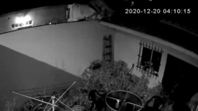 video: un delincuente salto un paredon y se metio a robar en una casa de la plata