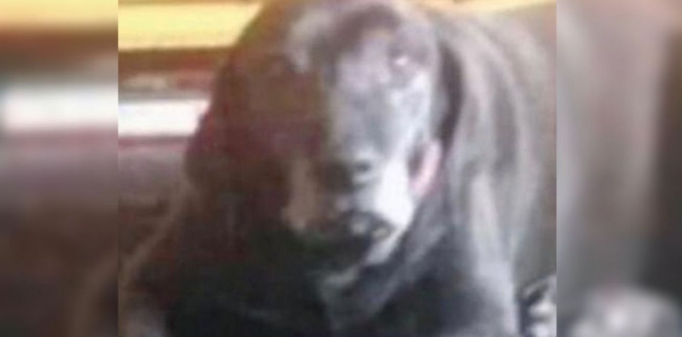 1601563547264.jpg?x=34&y=0&width=1296&height=648&rotate=0&scaleX=1&scaleY=1&ow=1350&oh=650&&cw=1920&ch=950