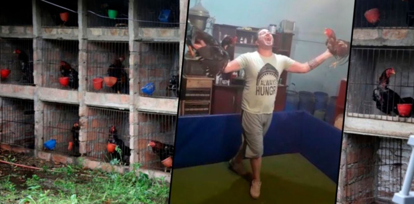 1603495386372.jpg?x=8&y=0&width=1484&height=742&rotate=0&scaleX=1&scaleY=1&ow=1500&oh=742&&cw=1920&ch=950