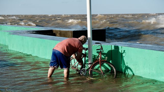 tras la fuerte crecida del rio de la plata, la costa de la region vuelve a la normalidad
