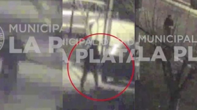 video: dos ladrones robaron una bicicleta pero al verse acorralados la abandonaron