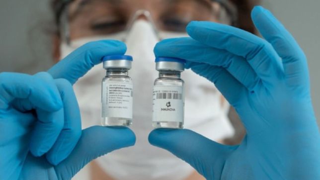 coronavirus: asi es el estudio con suero de caballo que prueban desde agosto en la plata