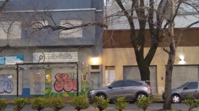 una gran rama cuelga de un cable y esta a punto de caerse sobre los autos en avenida 44