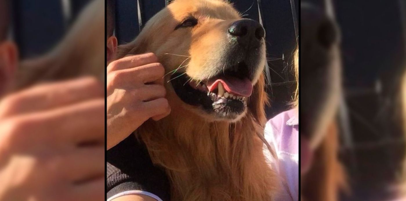 1635612178750.jpg?x=0&y= 6&width=1500&height=750&rotate=0&scaleX=1&scaleY=1&ow=1500&oh=742&&cw=1920&ch=950