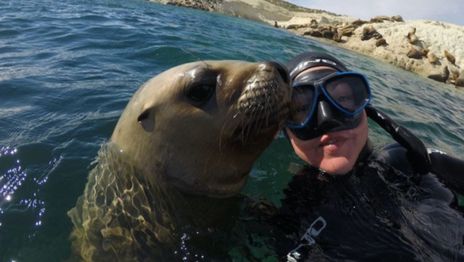 Puerto Madryn ofrece propuestas todo terreno con ballenas, gastronomía y aventura