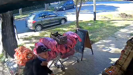 Gritos, forcejeo y tensión en medio de un violento robo en City Bell que quedó filmado