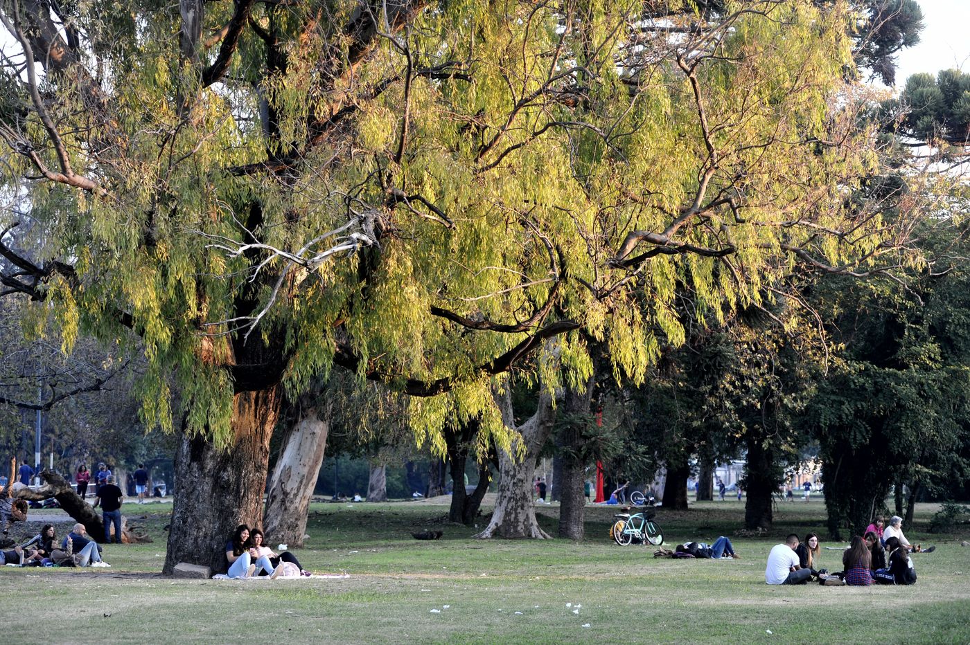 Parque San Martín (5).jpg