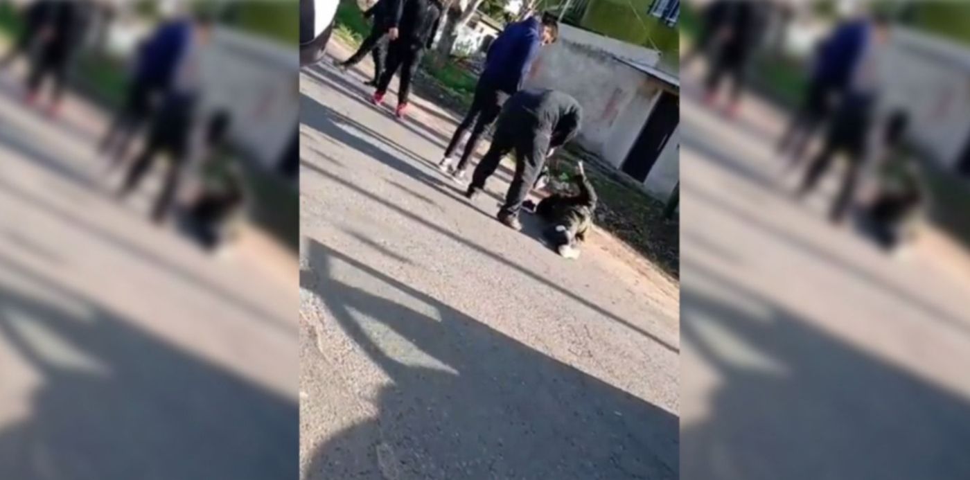 1633547062825.jpg?x=53&y=5&width=1394&height=697&rotate=0&scaleX=1&scaleY=1&ow=1500&oh=709&&cw=1920&ch=950