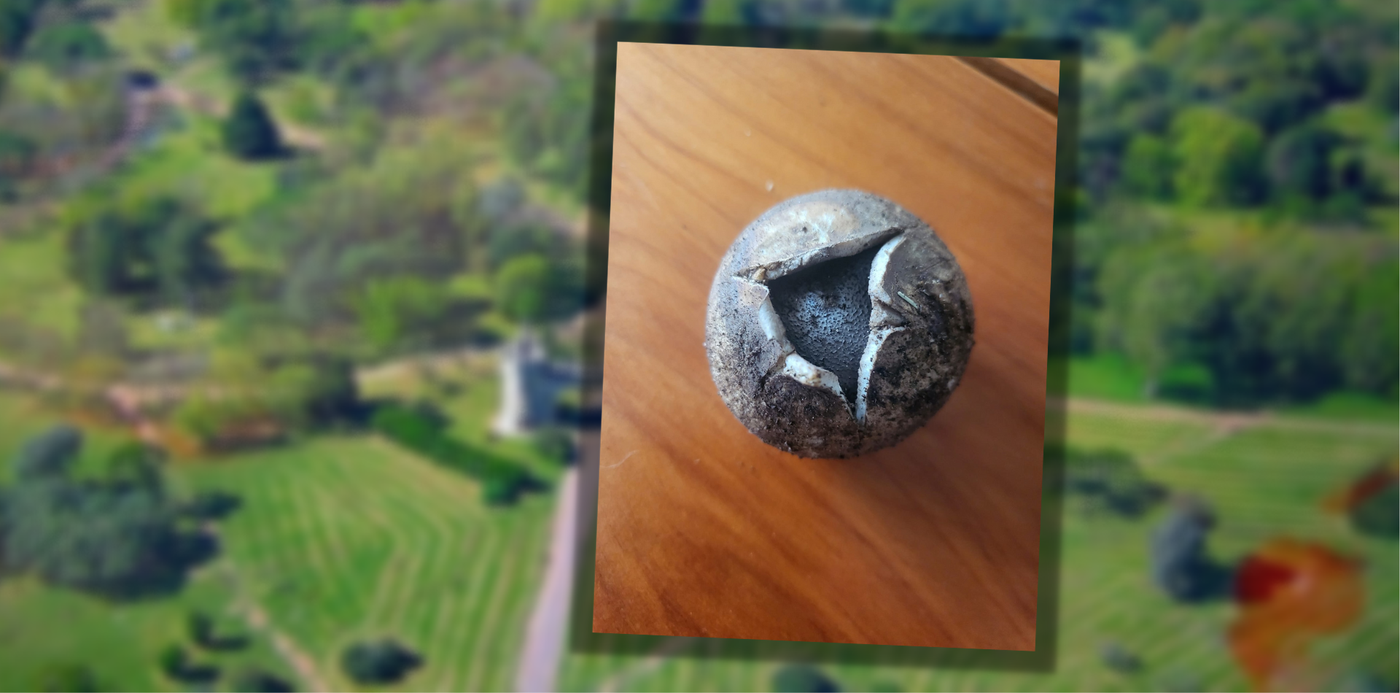 Diseño 1920 difuminado (1).png