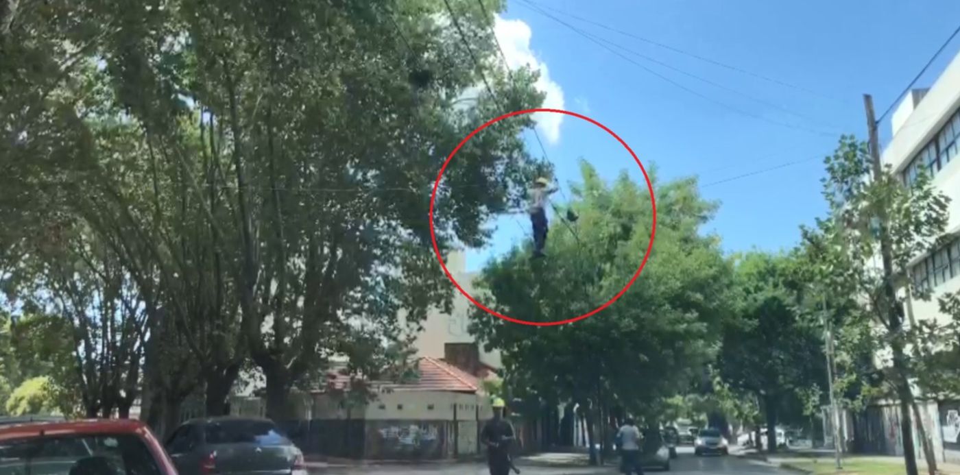 1614108308377.jpg?x=14&y=138&width=1843&height=921&rotate=0&scaleX=1&scaleY=1&ow=1871&oh=1059&&cw=1920&ch=950