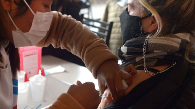 la curva del coronavirus sigue bajando en la plata: se sumaron 123 contagios y un muerto